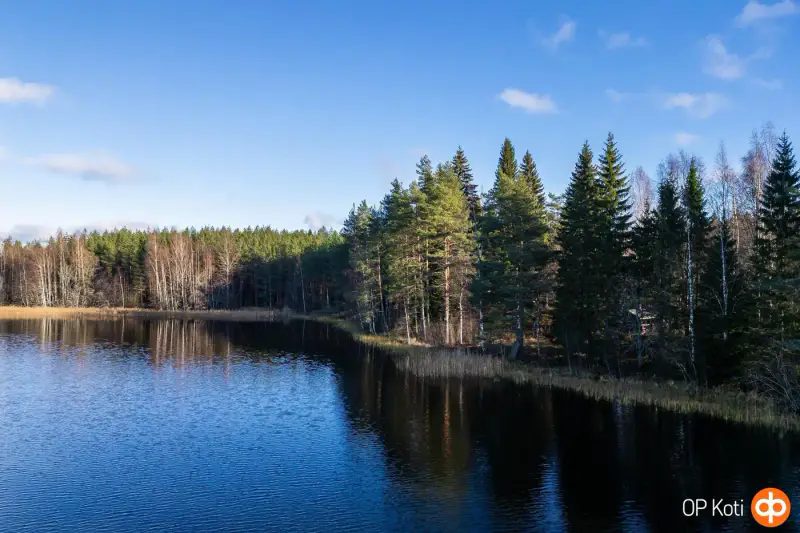 Chalet en rondins ronds (81 m²) à rénover, 4 620 m² et ~200 m de rive privée sur le Pieni-Sulkava — Siilinjärvi — 3