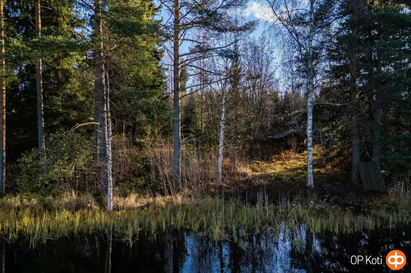 Chalet en rondins ronds (81 m²) à rénover, 4 620 m² et ~200 m de rive privée sur le Pieni-Sulkava — Siilinjärvi — 16