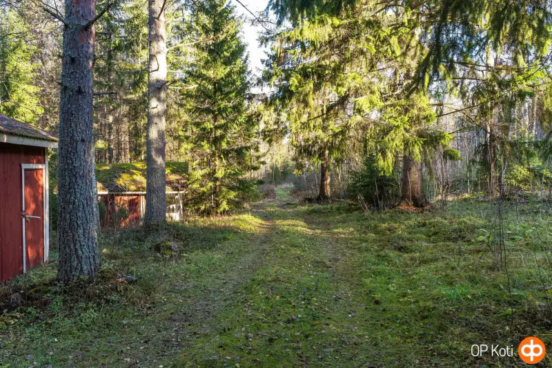Chalet en rondins ronds (81 m²) à rénover, 4 620 m² et ~200 m de rive privée sur le Pieni-Sulkava — Siilinjärvi — 15