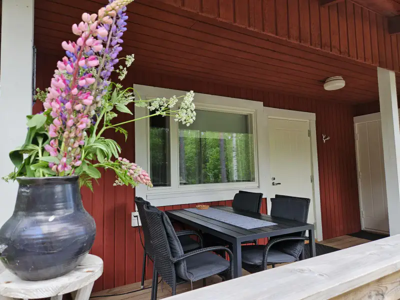 Mökki ~45-48 m² (1991) + sauna à bois et chalet d’invités, 4 210 m² au bord d’un étang privé avec ponton — Terttilä / Somero — 12