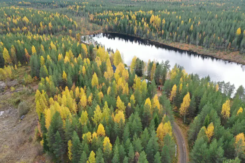 Chalet année-ronde ~55 m² (2003) + bâtiment sauna avec chambre, 2,6 ha et rive sur le Pitkälampi — Tipasjärvi / Sotkamo — 15