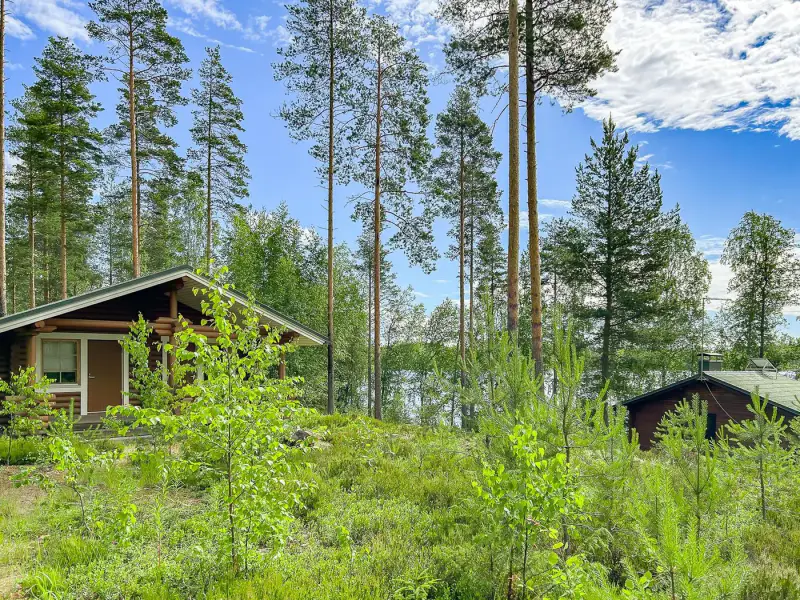 Mökki ~22 m² (1989) + aitta, rive sud Kulkemusjärvi, ~6,29 ha — Sulkava — 18