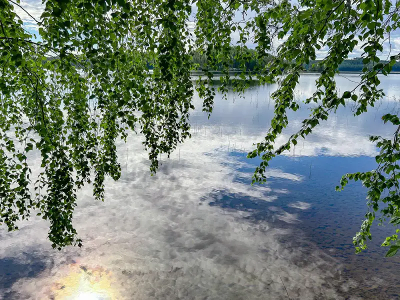 Mökki ~22 m² (1989) + aitta, rive sud Kulkemusjärvi, ~6,29 ha — Sulkava — 12