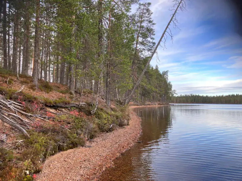 Terrain vacant ~8 767 m², rive sable Hossanjärvi — près parc Hossa — 2