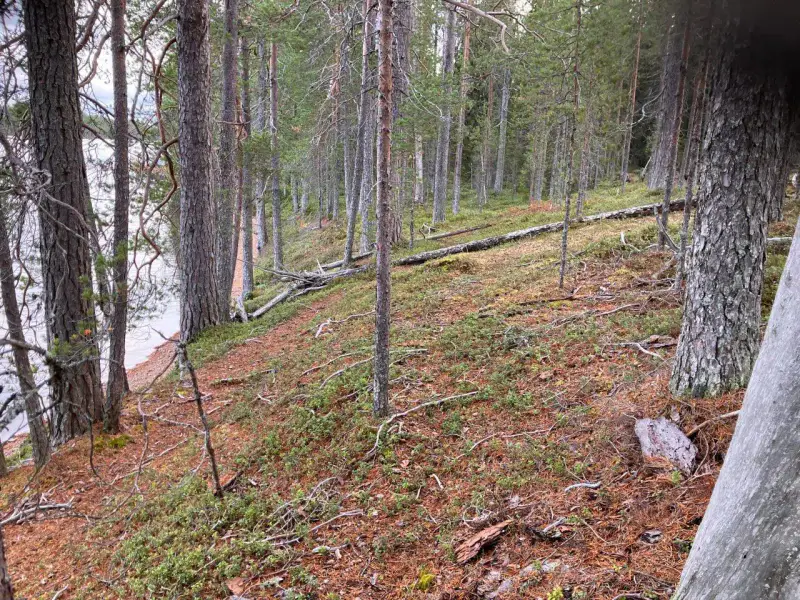Terrain vacant ~8 767 m², rive sable Hossanjärvi — près parc Hossa — 4