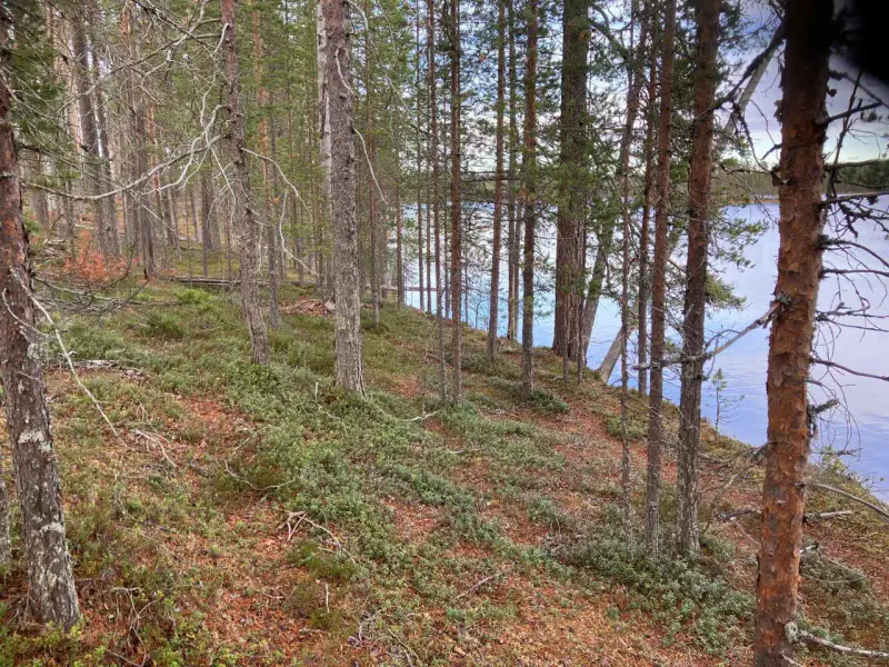 Terrain vacant ~8 767 m², rive sable Hossanjärvi — près parc Hossa — 6