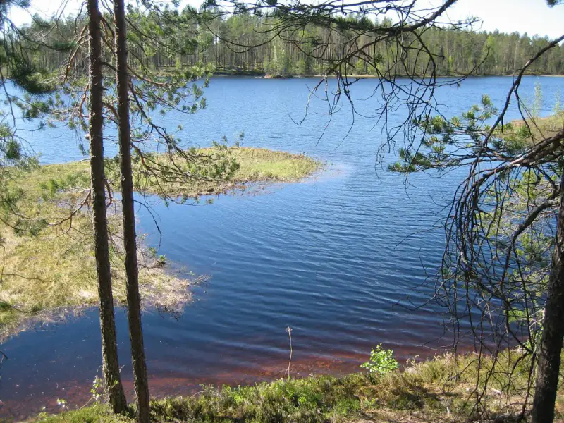Terrain vacant 4 820 m², rive Merkkivirta (Hietajärvi) — Suomussalmi — 4