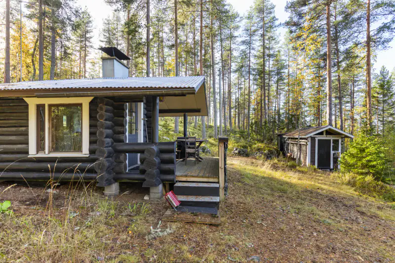 Cabane de pêche au bord du Päijänne : sauna de rive + cabane en rondins, ~1 ha et ~50 m de rive privée — Rapala / Sysmä — 10