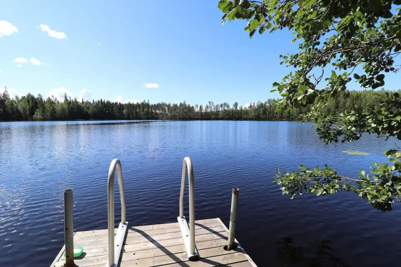 Mökki ~57 m² (2002) + sauna tonneau + grillikota, 3 350 m², Iso Niinilampi — Liikola / Sysmä — 1