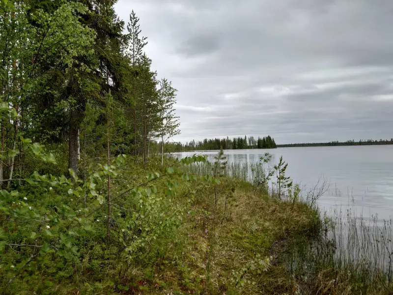 Terrain de loisirs constructible de 6 045 m², rive privée exposée sud-ouest sur le Jokijärvi — Murhiperä / Taivalkoski — 6