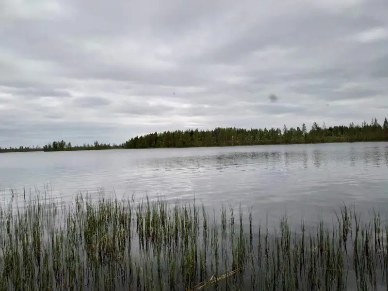 Terrain de loisirs constructible de 6 045 m², rive privée exposée sud-ouest sur le Jokijärvi — Murhiperä / Taivalkoski — 4