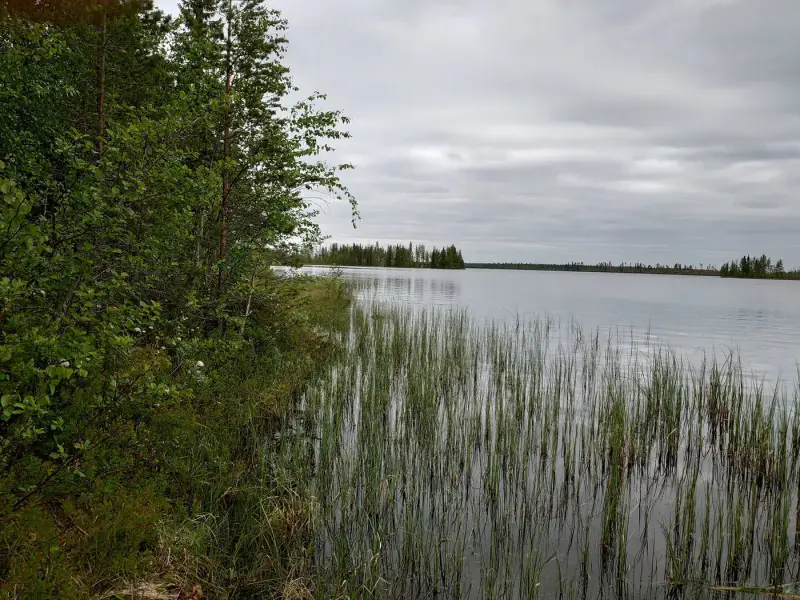 Terrain de loisirs constructible de 6 045 m², rive privée exposée sud-ouest sur le Jokijärvi — Murhiperä / Taivalkoski — 5