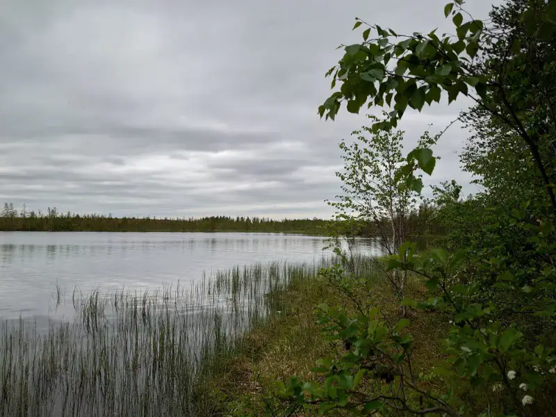 Terrain de loisirs constructible de 6 045 m², rive privée exposée sud-ouest sur le Jokijärvi — Murhiperä / Taivalkoski — 3