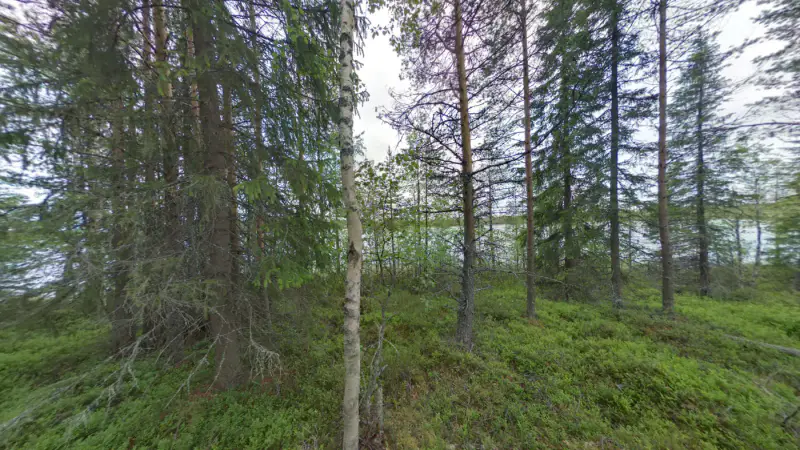Terrain de loisirs constructible de 6 045 m², rive privée exposée sud-ouest sur le Jokijärvi — Murhiperä / Taivalkoski — 10