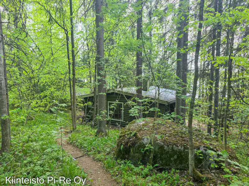 Chalet rondins ~38 m² + sauna de rive, lac Särkijärvi, 3 100 m² — Tammela — 5