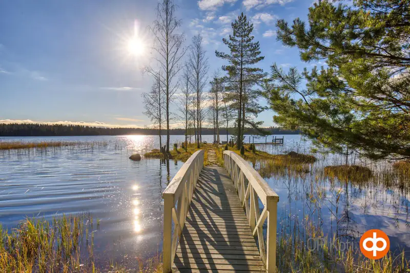 Chalet (38 m²) avec véranda vitrée, sauna, annexe d’hôtes et îlot privé, 3 625 m² sur le Ruostejärvi — Tammela — 4