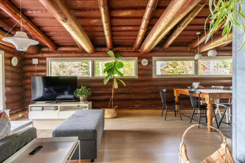 Mökki hirsi rénové 88 m², 55 m rive sable Liesjärvi, 2 416 m² — Tammela — 9