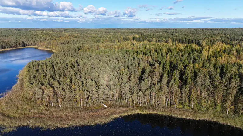 Erämökki rondins ~25 m² (1994), 5 000 m², ~120 m rive Kiikkisjärvi — Tampere — 4