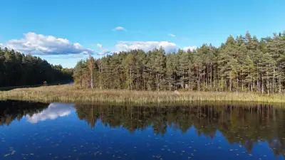 Erämökki rondins ~25 m² (1994), 5 000 m², ~120 m rive Kiikkisjärvi — Tampere — 1