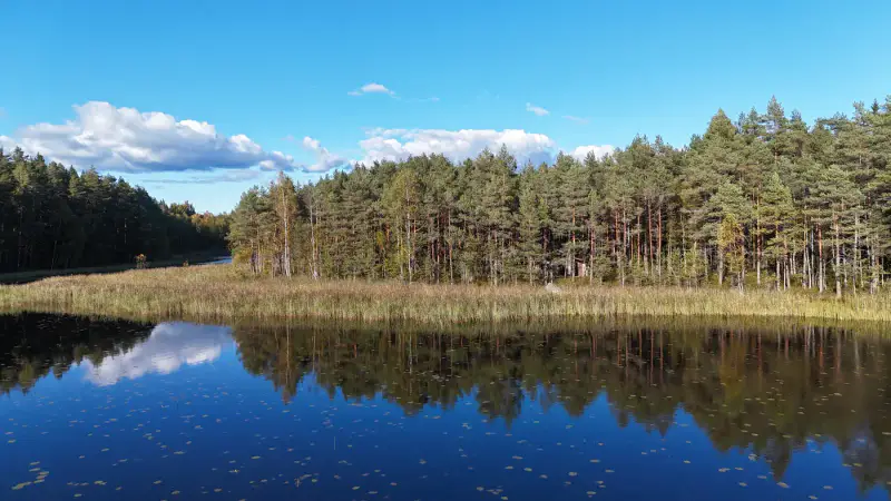 Erämökki rondins ~25 m² (1994), 5 000 m², ~120 m rive Kiikkisjärvi — Tampere — 1