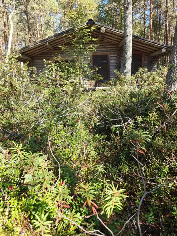 Erämökki rondins ~25 m² (1994), 5 000 m², ~120 m rive Kiikkisjärvi — Tampere — 18