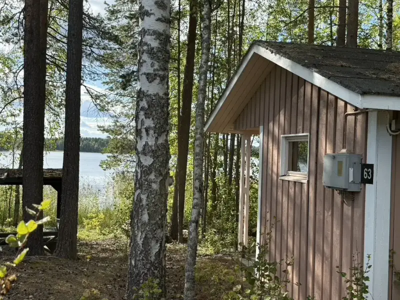 Terrain ~5,39 ha + 100 m rive ouest Näsijärvi, droits 170 m² ; bâti à démolir — Kapee — 1