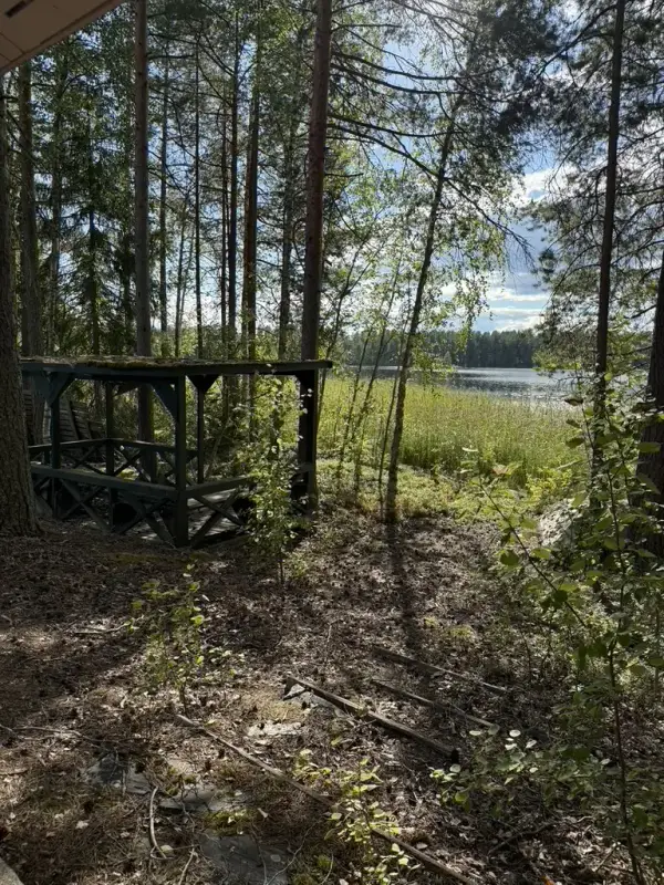Terrain ~5,39 ha + 100 m rive ouest Näsijärvi, droits 170 m² ; bâti à démolir — Kapee — 8