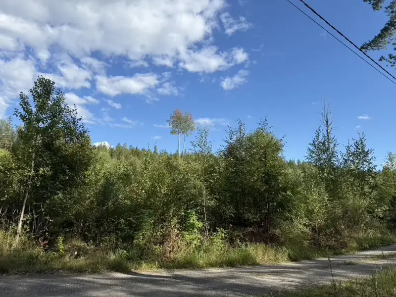 Terrain ~5,39 ha + 100 m rive ouest Näsijärvi, droits 170 m² ; bâti à démolir — Kapee — 13