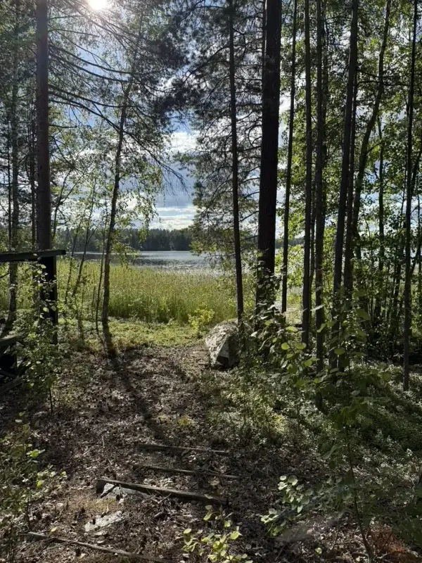 Terrain ~5,39 ha + 100 m rive ouest Näsijärvi, droits 170 m² ; bâti à démolir — Kapee — 10