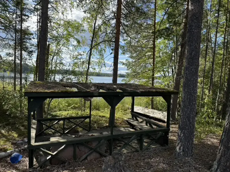 Terrain ~5,39 ha + 100 m rive ouest Näsijärvi, droits 170 m² ; bâti à démolir — Kapee — 9