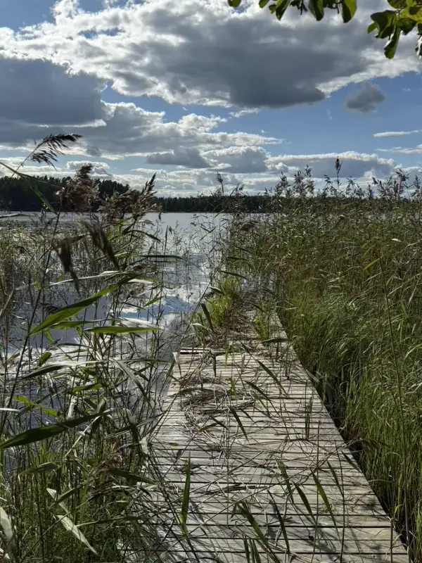 Terrain ~5,39 ha + 100 m rive ouest Näsijärvi, droits 170 m² ; bâti à démolir — Kapee — 11