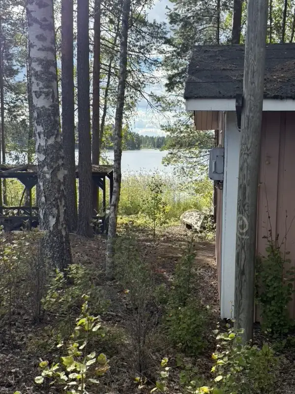 Terrain ~5,39 ha + 100 m rive ouest Näsijärvi, droits 170 m² ; bâti à démolir — Kapee — 7