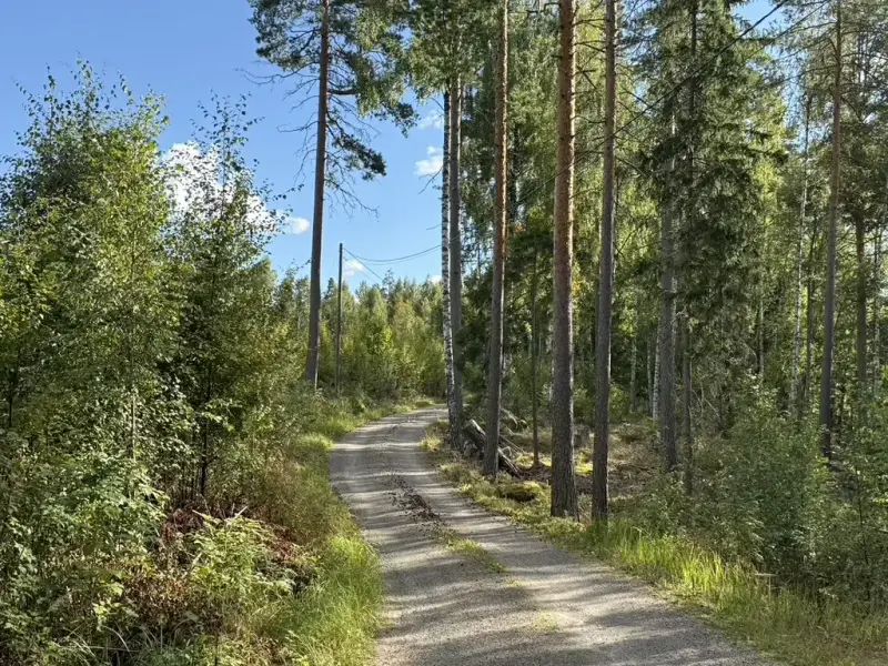 Terrain ~5,39 ha + 100 m rive ouest Näsijärvi, droits 170 m² ; bâti à démolir — Kapee — 15