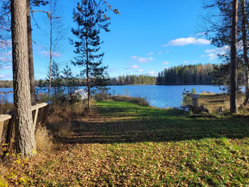 Maison/mökki ~96 m² (1985) + rantasauna récente, 6 880 m² et ~100 m de rive — Tallusjärvi / Tervo — 10