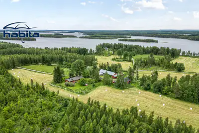 Ancienne ferme ~130 m² (1975) + 30 ha, ~250 m rive Nilakka — Pulkkaniemi / Tervo — 1