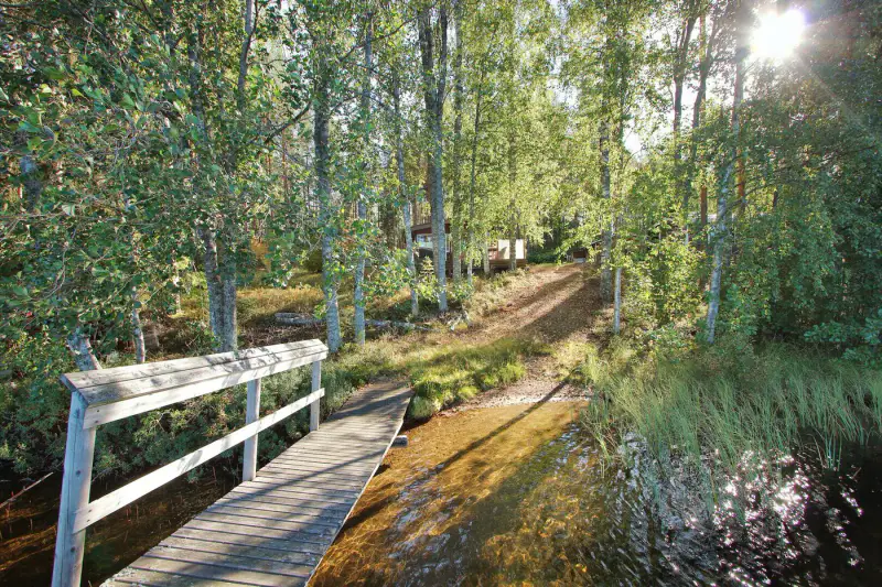Mökki rondins ~25 m² (1994) + pihasauna, 3 390 m², Iso-Kankainen — Tuusniemi — 12