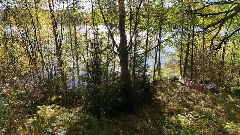 Petit mökki ~25 m² (1968) + sauna de rive à bois, 2 790 m² et 40 m de rive privée sur l’Immolanjärvi — Akonlahti / Varkaus — 3