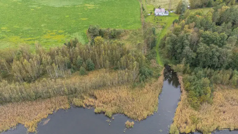 Terrain mer ~4 000 m² (~50 m rive), määräala — Vehmaa / Taivassalo — 4