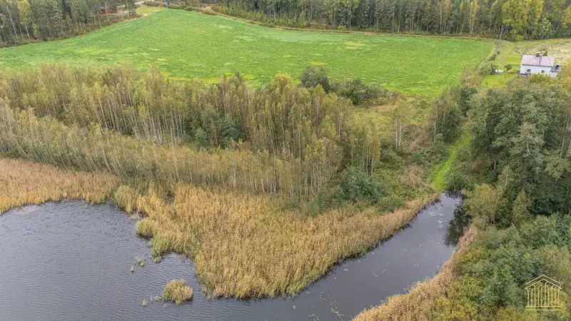 Terrain mer ~4 000 m² (~50 m rive), määräala — Vehmaa / Taivassalo — 14