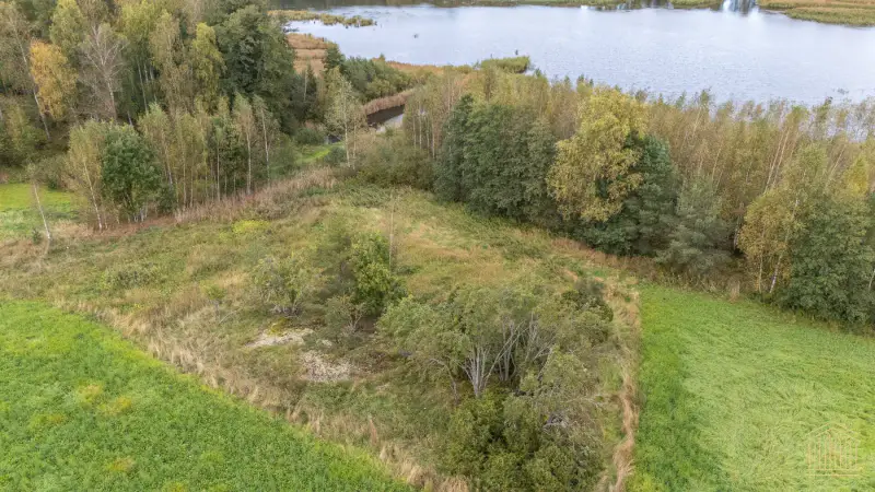Terrain mer ~4 000 m² (~50 m rive), määräala — Vehmaa / Taivassalo — 2