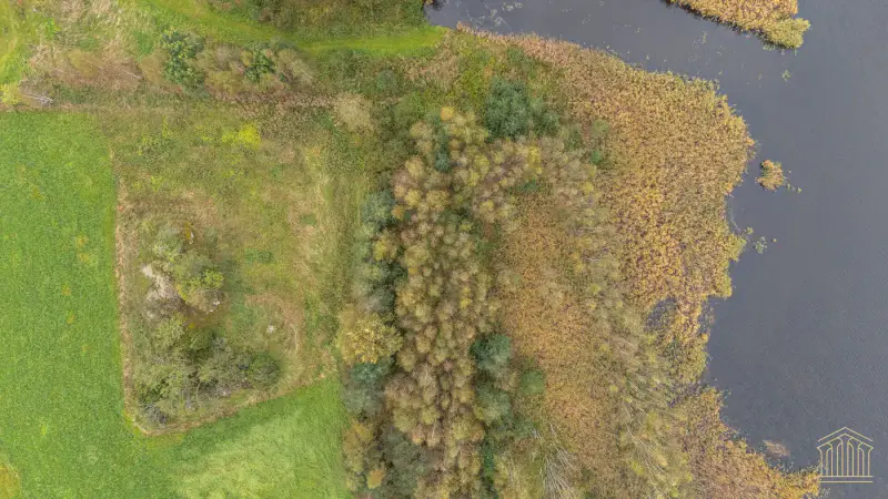 Terrain mer ~4 000 m² (~50 m rive), määräala — Vehmaa / Taivassalo — 11