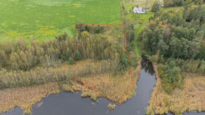 Terrain mer ~4 000 m² (~50 m rive), määräala — Vehmaa / Taivassalo — 3
