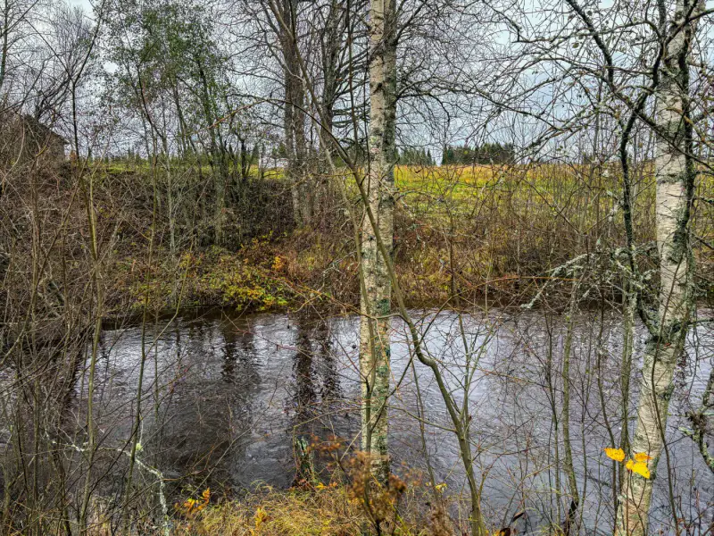 Mökki ~68 m² (2000) + garage et 2 aittas, 5 299 m² et ~200 m de rive privée Rotimojoki — Rotimojoki / Vieremä — 3