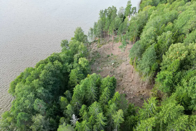 Terrain rive Hiidenvesi ~5 344 m² (~80 m), orientation sud — Irjala / Vihti — 12