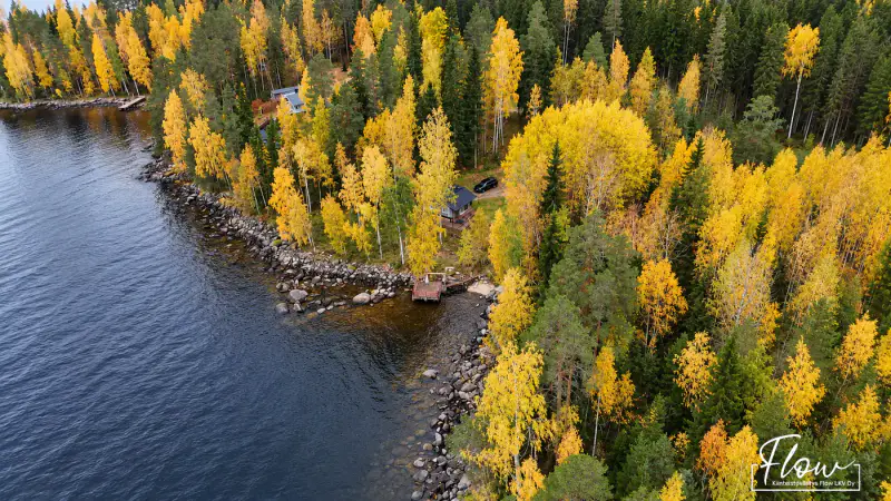 Mökki en kelohonka ~35 m² (2003) + sauna, ~65 m de rive privée sur le Keitele, 4 110 m² — Ilmolahti / Viitasaari — 3