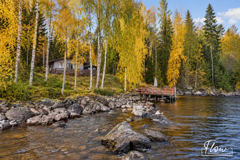 Mökki en kelohonka ~35 m² (2003) + sauna, ~65 m de rive privée sur le Keitele, 4 110 m² — Ilmolahti / Viitasaari — 4