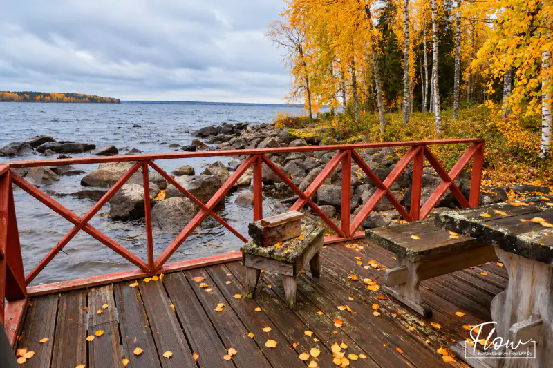 Mökki en kelohonka ~35 m² (2003) + sauna, ~65 m de rive privée sur le Keitele, 4 110 m² — Ilmolahti / Viitasaari — 13