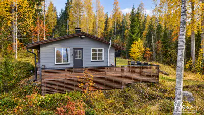 Mökki en kelohonka ~35 m² (2003) + sauna, ~65 m de rive privée sur le Keitele, 4 110 m² — Ilmolahti / Viitasaari — 1