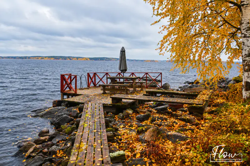 Mökki en kelohonka ~35 m² (2003) + sauna, ~65 m de rive privée sur le Keitele, 4 110 m² — Ilmolahti / Viitasaari — 12