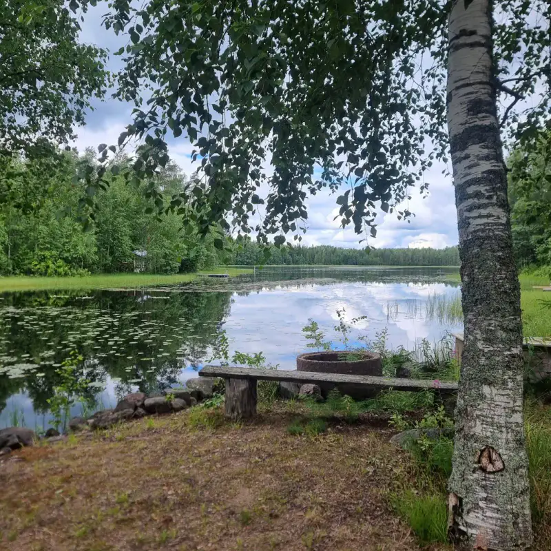 Maison en rondins 1912 ~150 m² + dépendances, 5 ha et ~220 m de rive privée Majavesi — Kyrönlahti / Ylöjärvi — 5